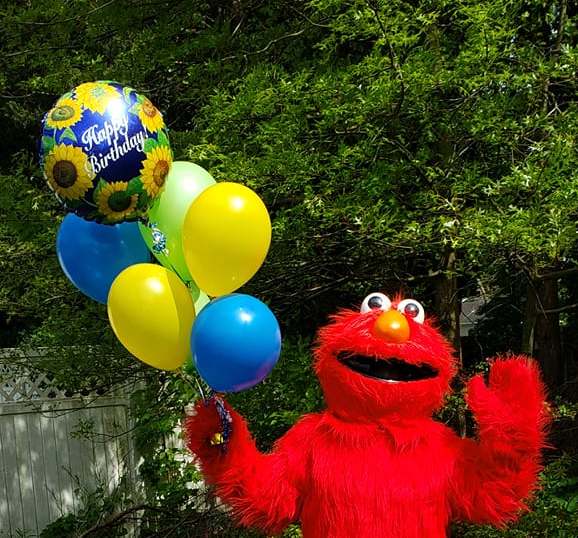 Photo of Elmo